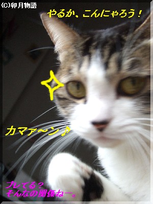 ¼õ¤±¤Æ¤¿¤Ä¤Ë¤ã¡¼¡£