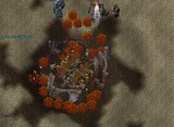 13731612.jpg