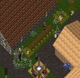 6381990c.jpg