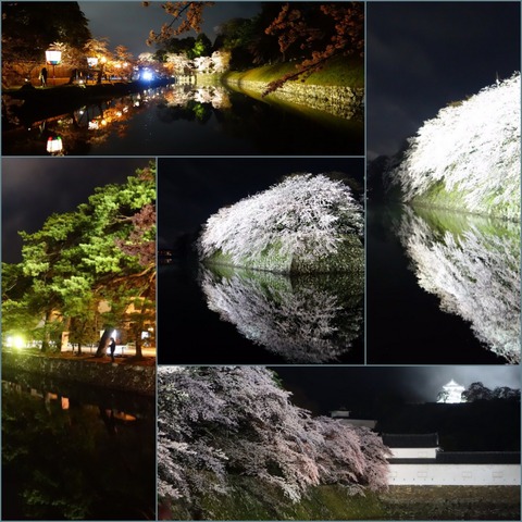 hikone
