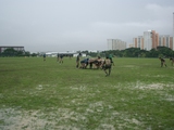 4e44