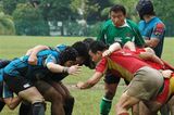 DSC_0533_(2)