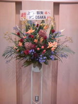 2008/10/11AYA KAMIKI お花