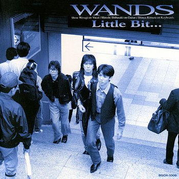 WANDS (ワンズ) : Be資料室 ｜ ビーイング系アーティスト