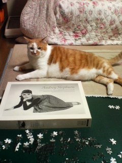 �ɤä�����