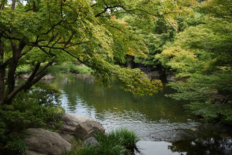 DSC00162_edited-1