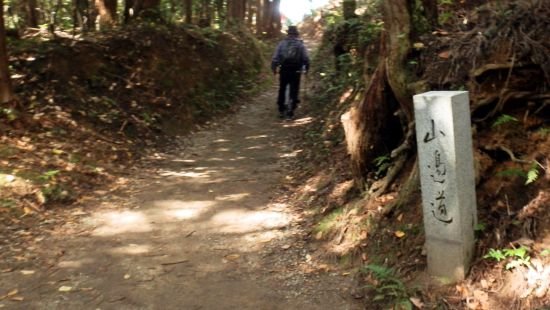yamanobe05