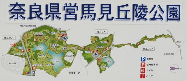 umami_map