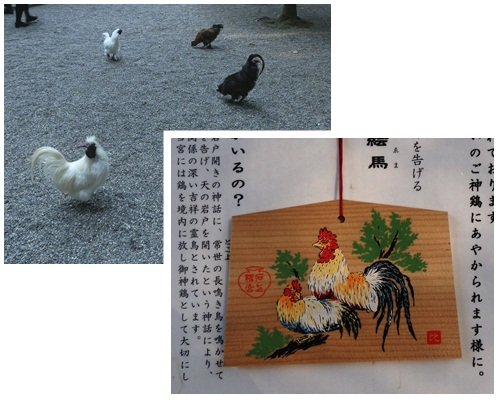 yamanobe14
