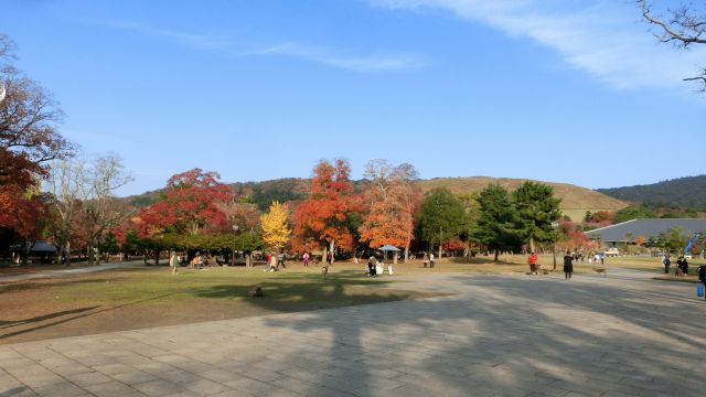 kita_yamanobe15