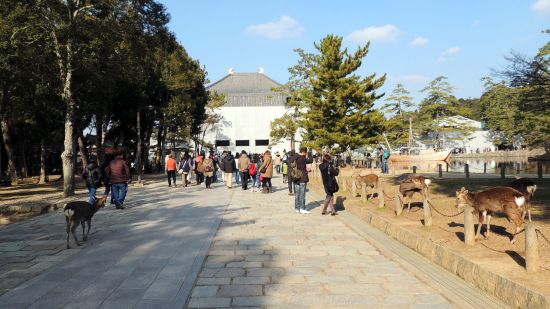 kitamati09