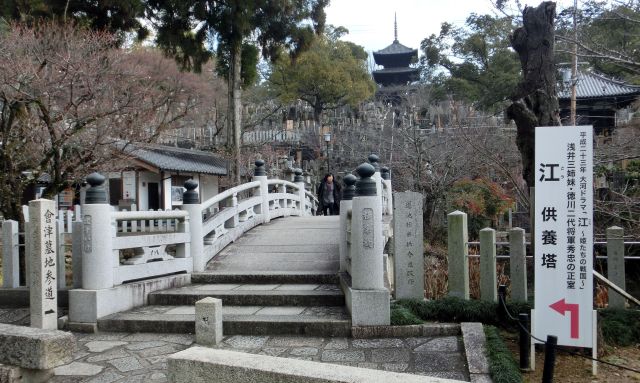 kyoto55