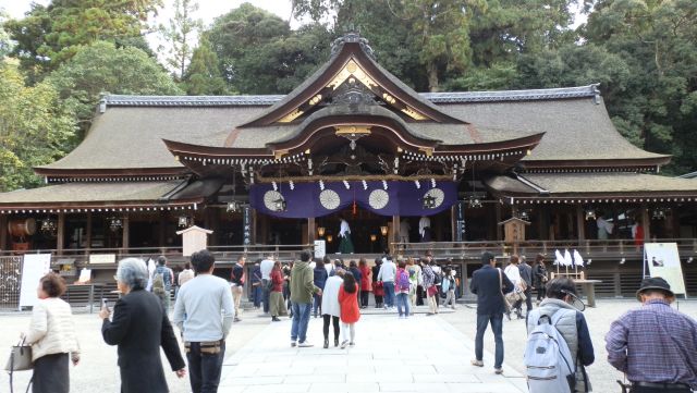 yamanobe03