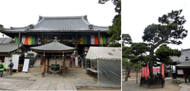 fujiidera17)