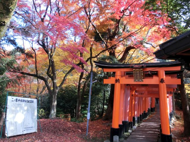 fukakusa09