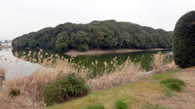 fujiidera11