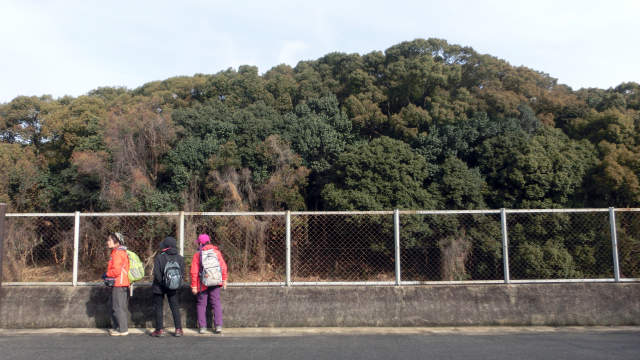 fujiidera05