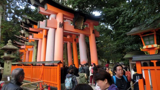 fukakusa05