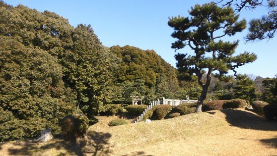 sakiji06