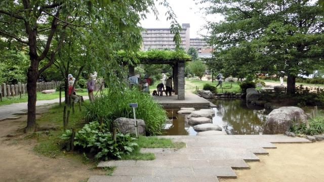kyoto07b