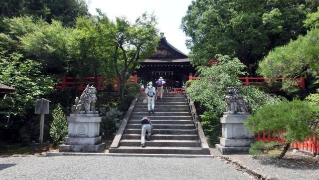 kyoto11