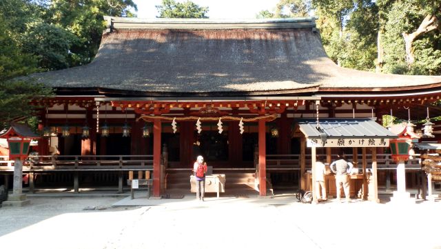yamanobe13