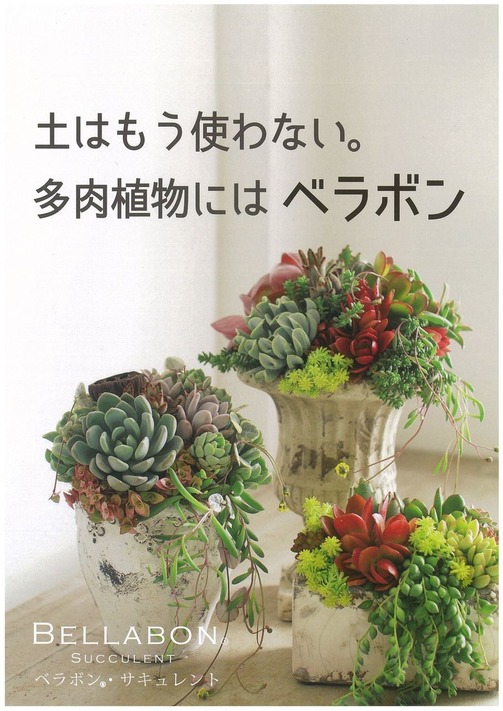 img-422152033-0001