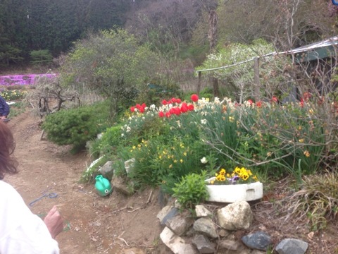 2014-05-04-14-41-50