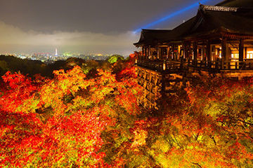 秋に行きたい紅葉スポット、京都の清水寺