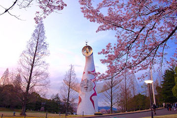 万博公園桜
