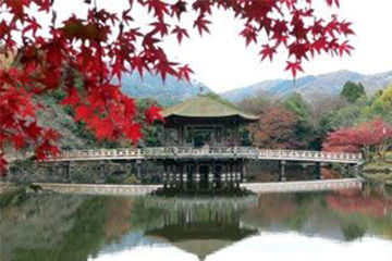 秋に行きたい紅葉スポット、京都の興福寺