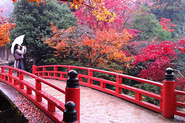 秋に行きたい紅葉スポット広島県の厳島神社