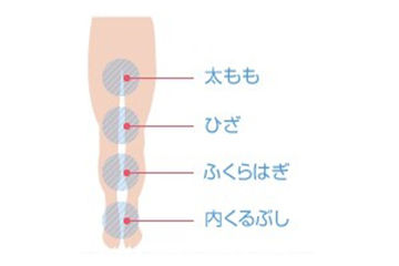 美脚の定義4点