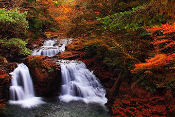 秋に行きたい紅葉スポット三重県の赤目四十八滝