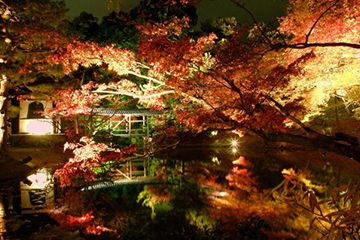 秋に行きたい紅葉がきれいな京都の高台寺