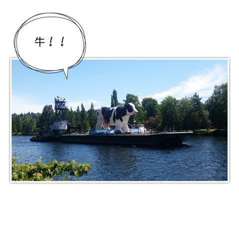 18-06-16-23-36-56-525_deco[1]