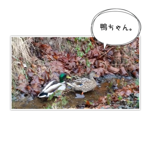 18-03-31-11-30-57-722_deco[1]