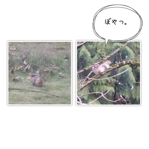 18-03-31-11-33-58-729_deco[1]