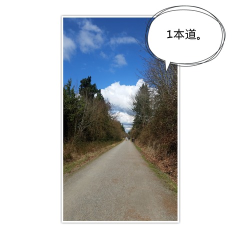 18-03-31-11-25-02-604_deco[1]