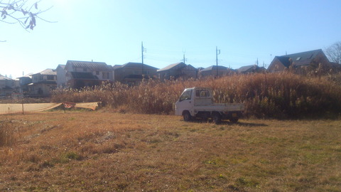 R-SIC1