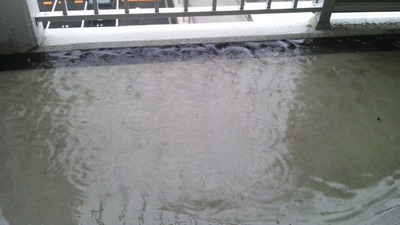 冠水