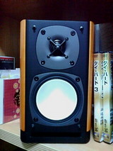 64ef9811.jpg
