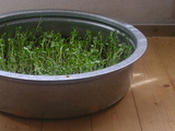 b37cbb45.jpg