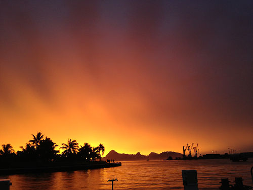 IMG_3398s