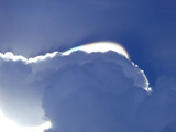 a74d626d.jpg
