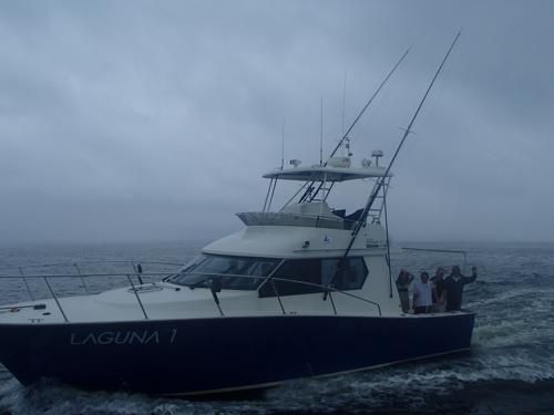 sP8250656