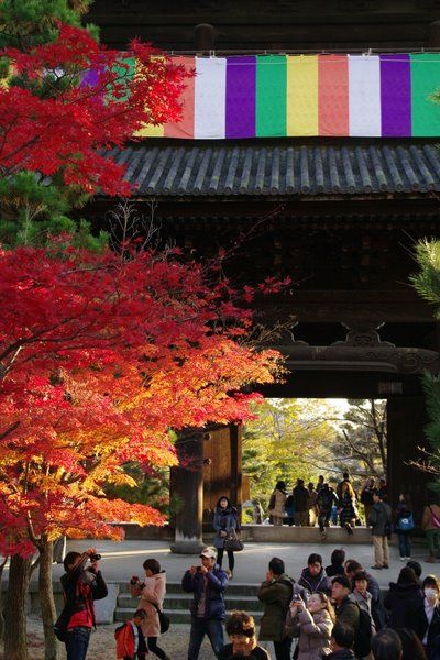 金戒光明寺の山門