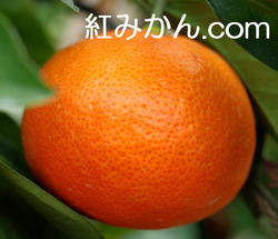 7_13