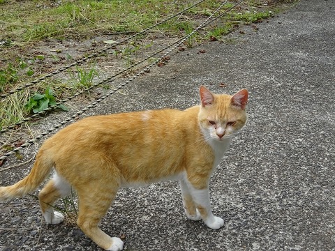 DSC00505