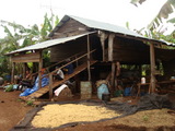 banana house1